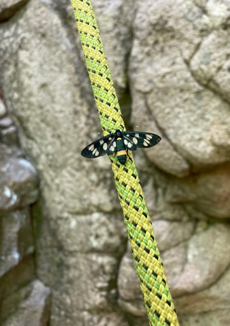 rope-05